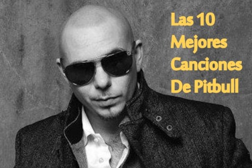 pitbull top 10