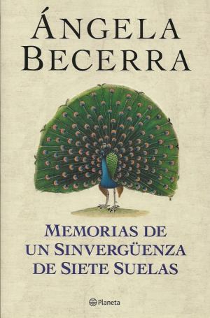 memorias-de-un-sinverguenza-de-siete-suelas-5494-MLA4392107695_052013-F