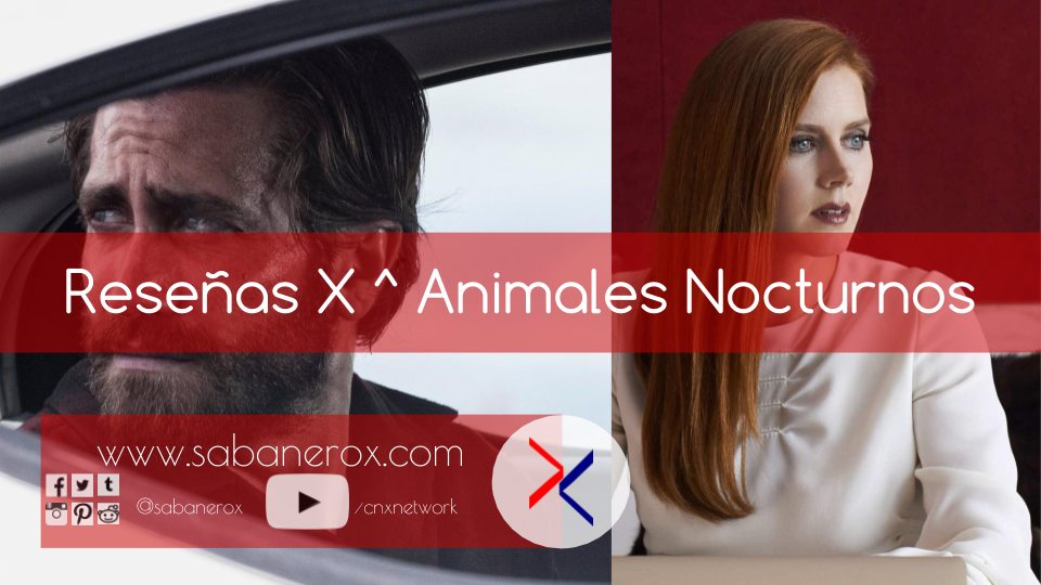 animales-nocturnos