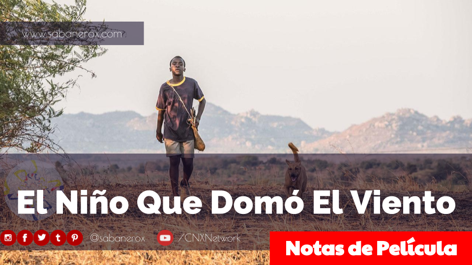 Pelicula Del Niño Que Domo El Viento En Español